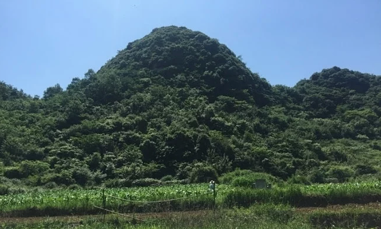 金星结穴的情况详解